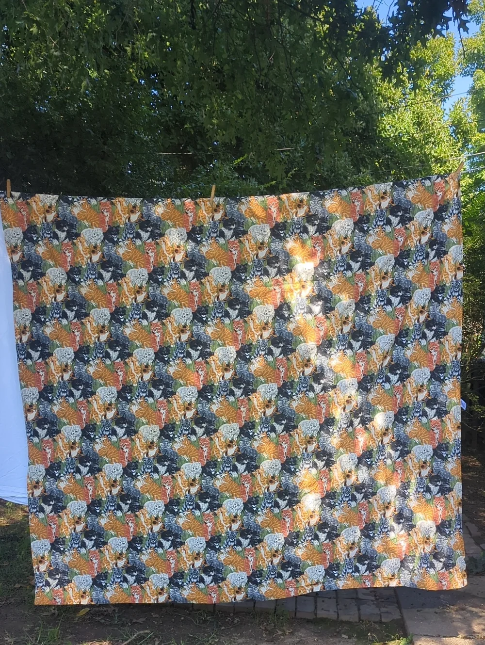 Vintage Cat Print Shower Curtain Fabric